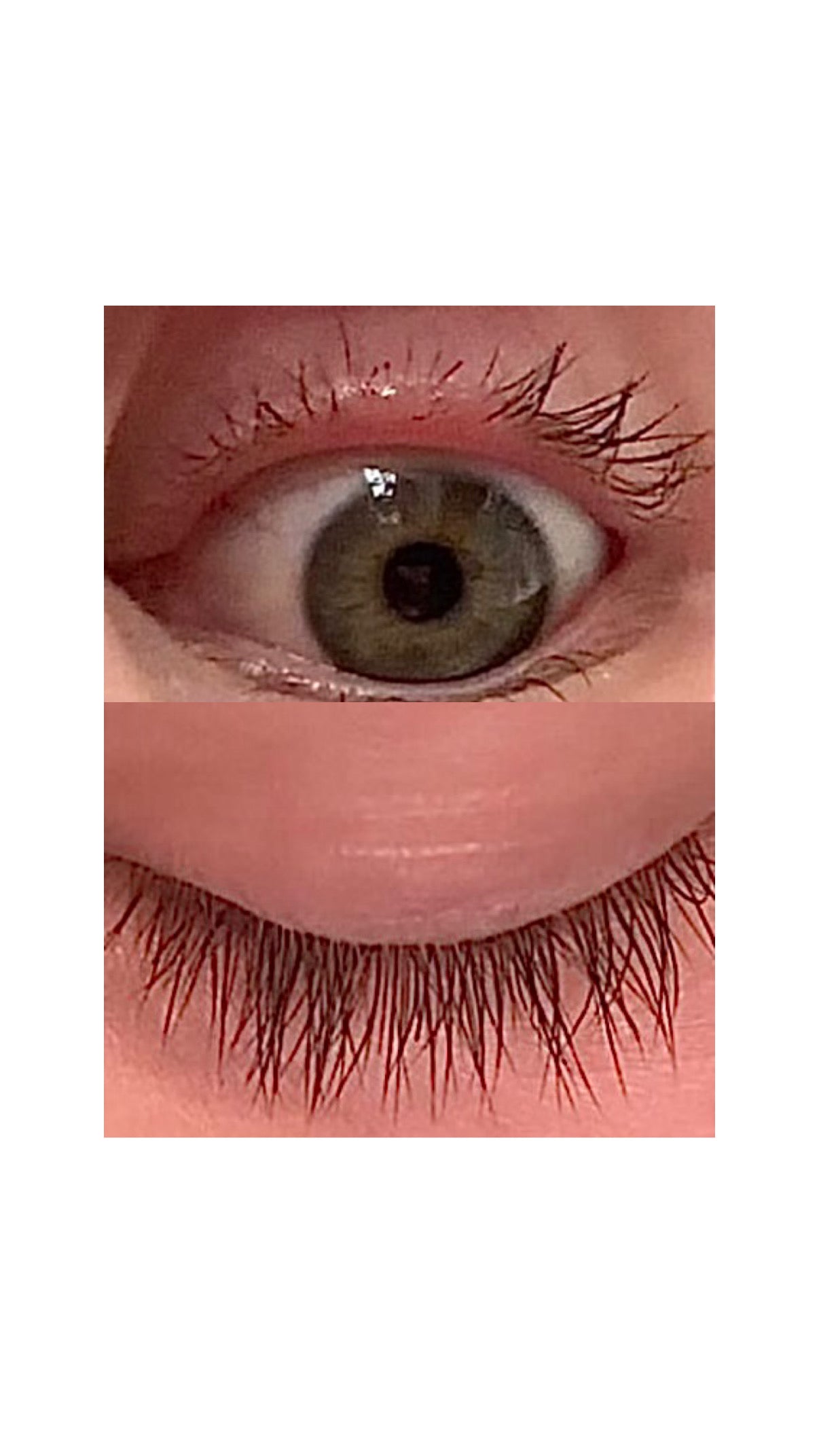 <p>Nectar Mascara Oil</p>